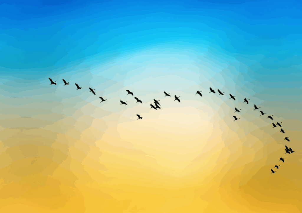 dia-aves-migratorias-voo-conservacao